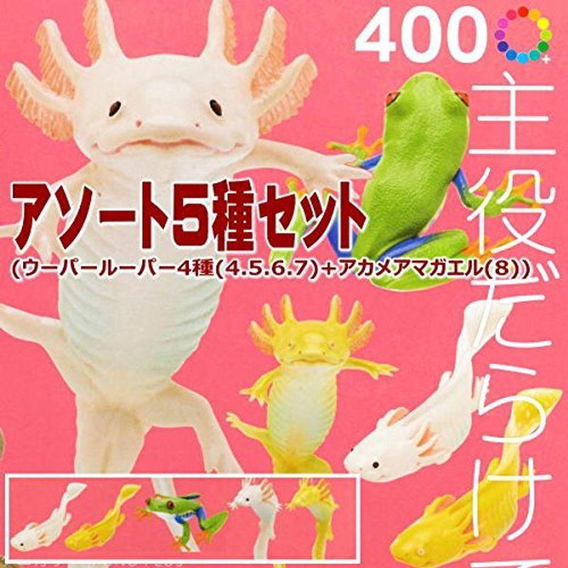 5種アソートカプセル ネイチャーテクニカラー Mono Plus ウーパールーパーとベルツノガエルとアカメアマガエルとマルメタピオカガエル つきのわ堂 通販 Yahoo ショッピング