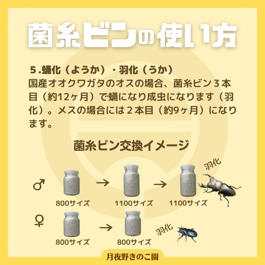 E-1400 15本入(菌糸瓶・菌糸ビン)【送料無料】 : 月夜野きのこ園
