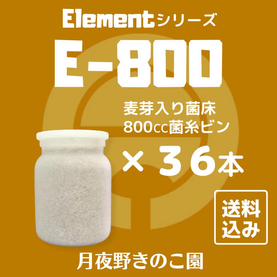 菌糸プレス機　菌糸瓶　菌糸ビン 菌糸ビン MIKUプレミアム菌糸ボトル オオヒラタケ 800cc | チャーム