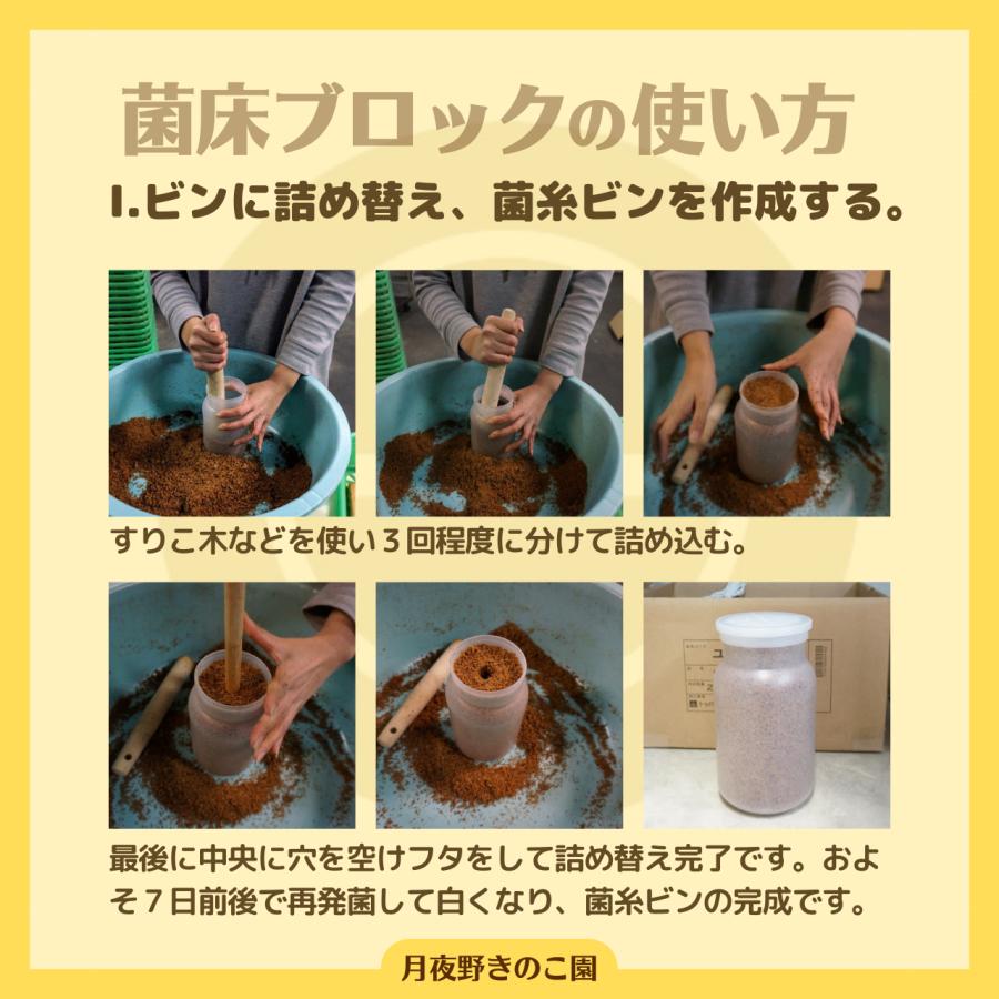E-Block【9】(菌糸ブロック・菌床ブロック)【送料無料】 : 月夜野