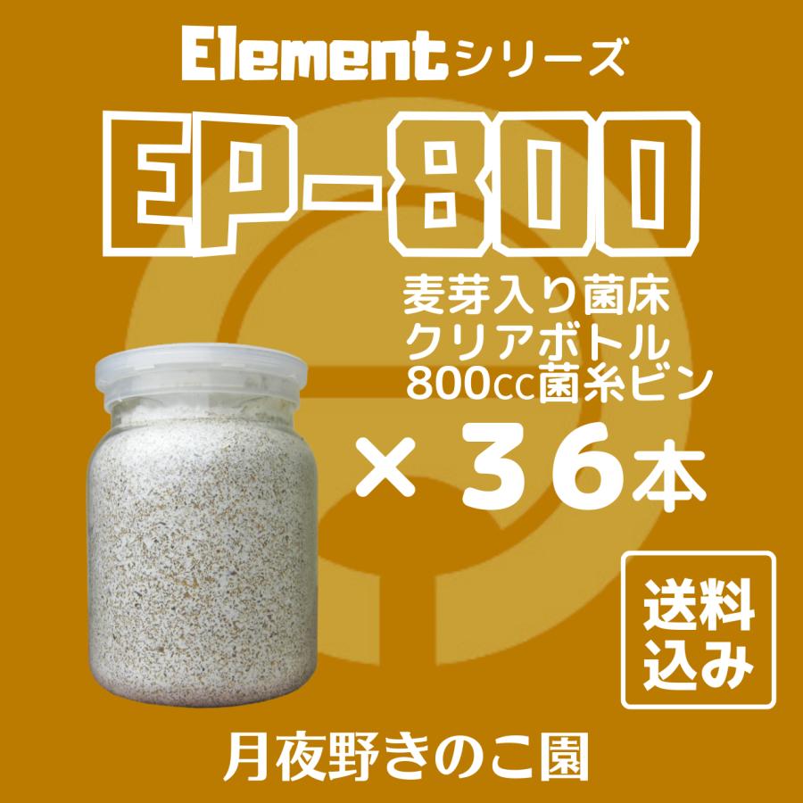 EP-800 36本入(菌糸瓶・菌糸ビン)【送料無料】_1