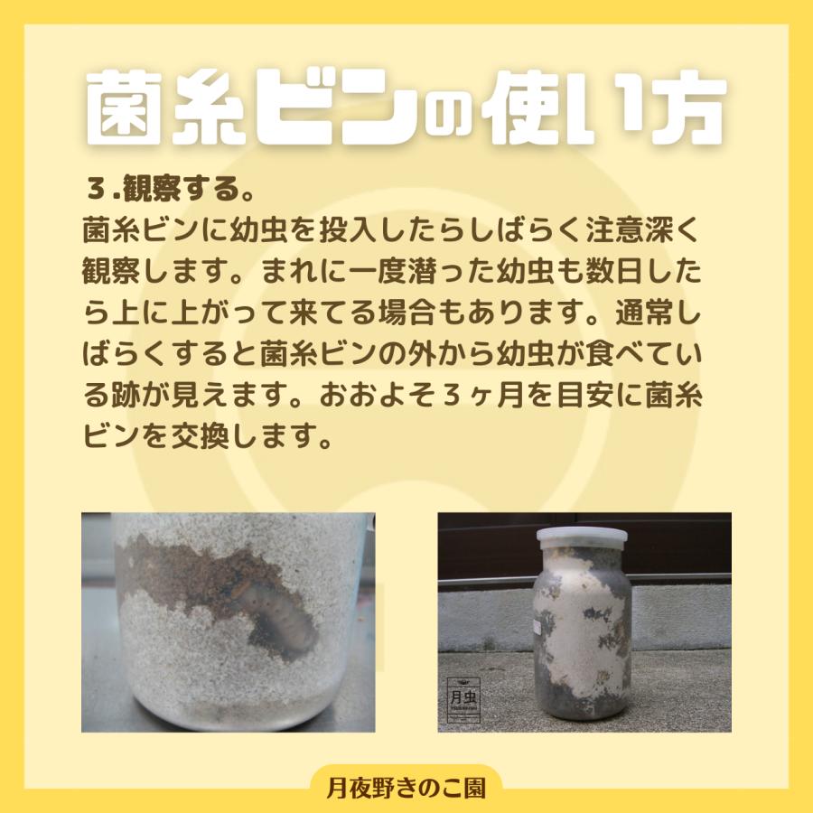 EP-800 36本入(菌糸瓶・菌糸ビン)【送料無料】_5