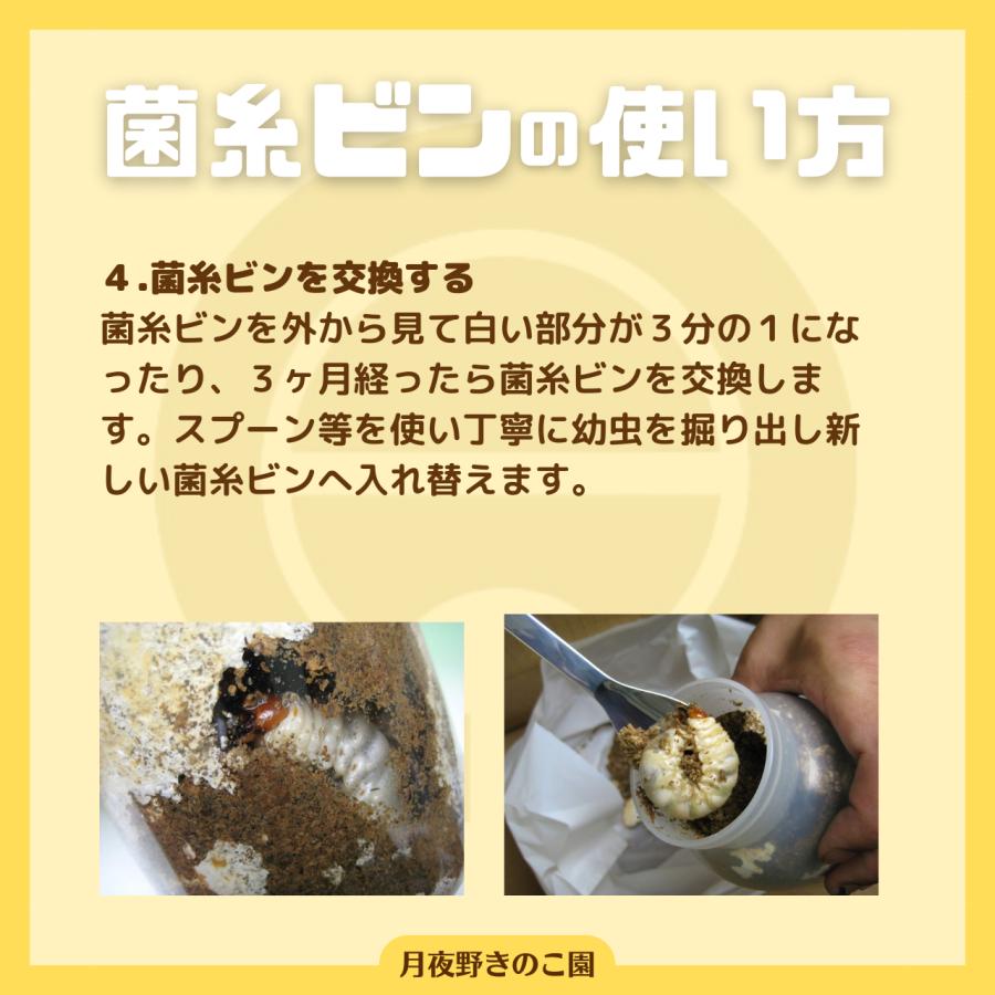 EP-800 36本入(菌糸瓶・菌糸ビン)【送料無料】_6