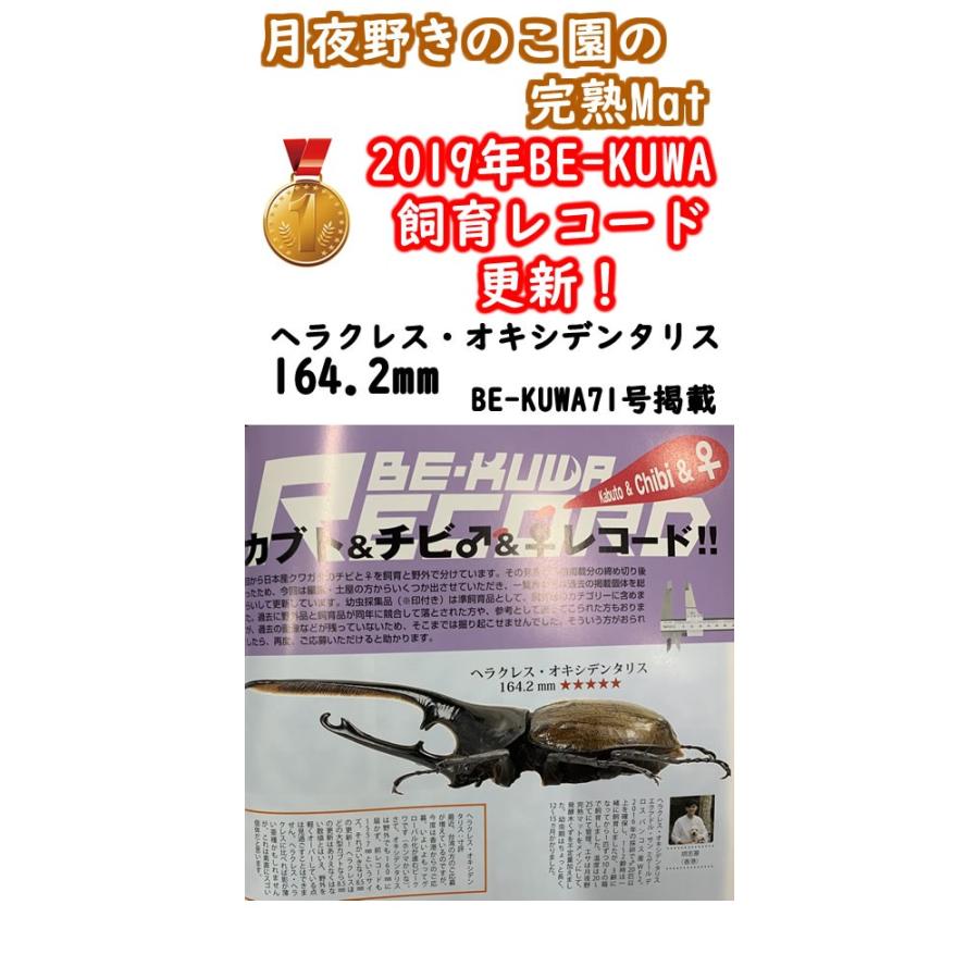 完熟Mat-10L(昆虫マット・発酵マット)｜tsukiyono｜02