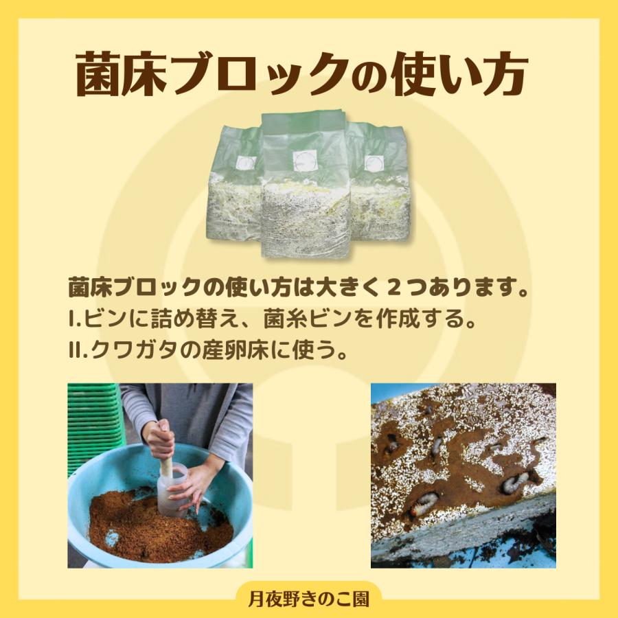 N-カワラblock【9】(菌糸ブロック・菌床ブロック)【送料無料