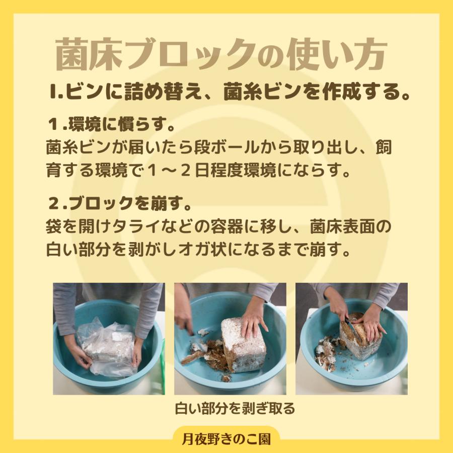 N-カワラblock【9】(菌糸ブロック・菌床ブロック)【送料無料