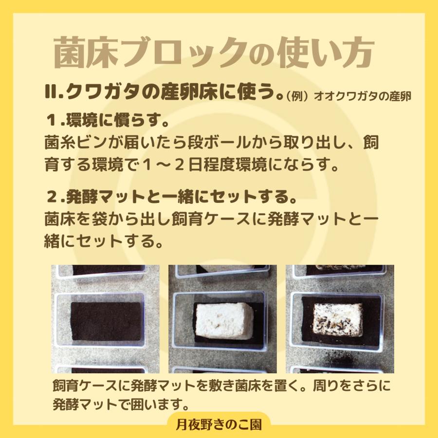 N-カワラblock【9】(菌糸ブロック・菌床ブロック)【送料無料