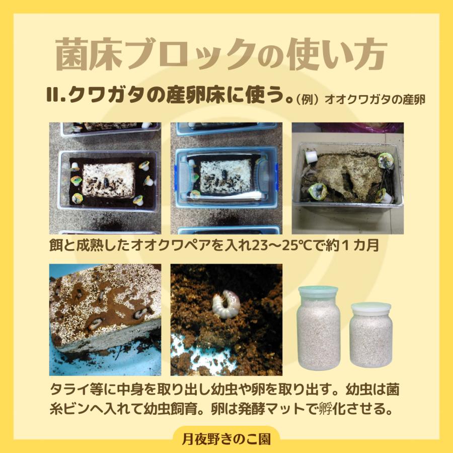 年末特価　カワラ菌糸ブロック　9個セット N-カワラblock【9】(菌糸ブロック・菌床ブロック)【送料無料
