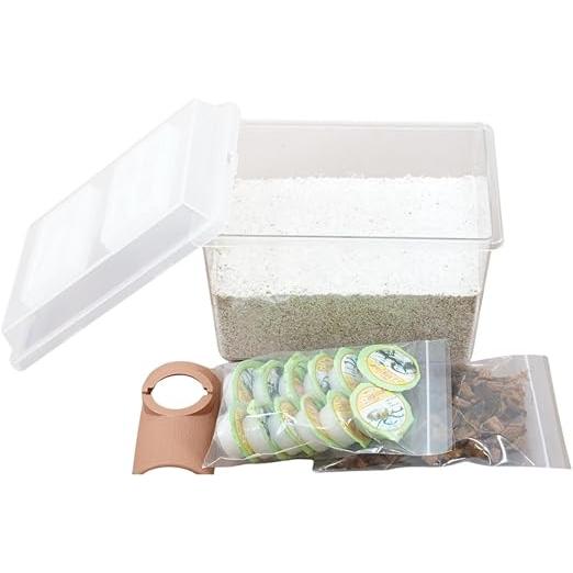 オオクワガタ専用:産卵初めてセット の商品画像