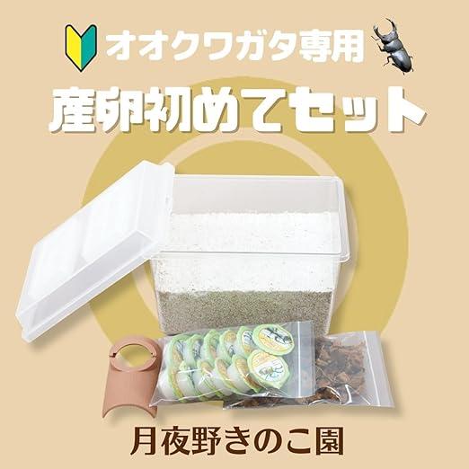 オオクワガタ専用:産卵初めてセット : 月夜野きのこ園 - 通販 - Yahoo