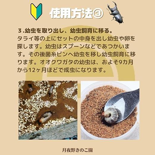 オオクワガタ専用:産卵初めてセット : 月夜野きのこ園 - 通販 - Yahoo