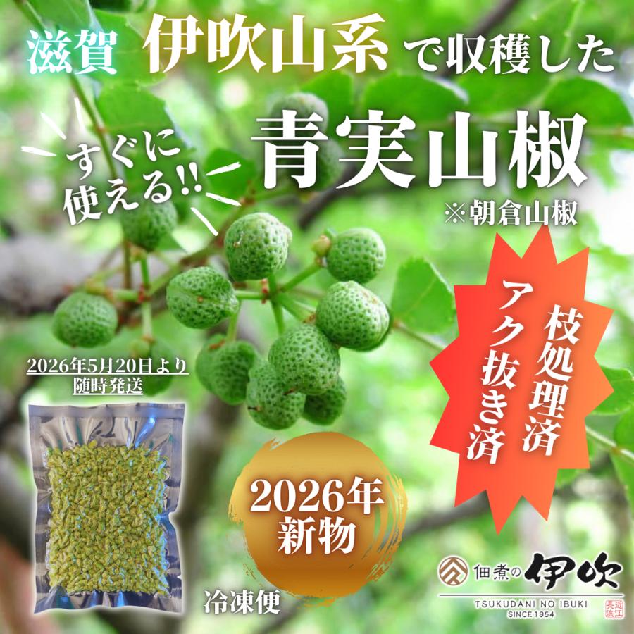 2026年新物】【枝処理済・アク抜き済】青実山椒 伊吹山系 実山椒 冷凍