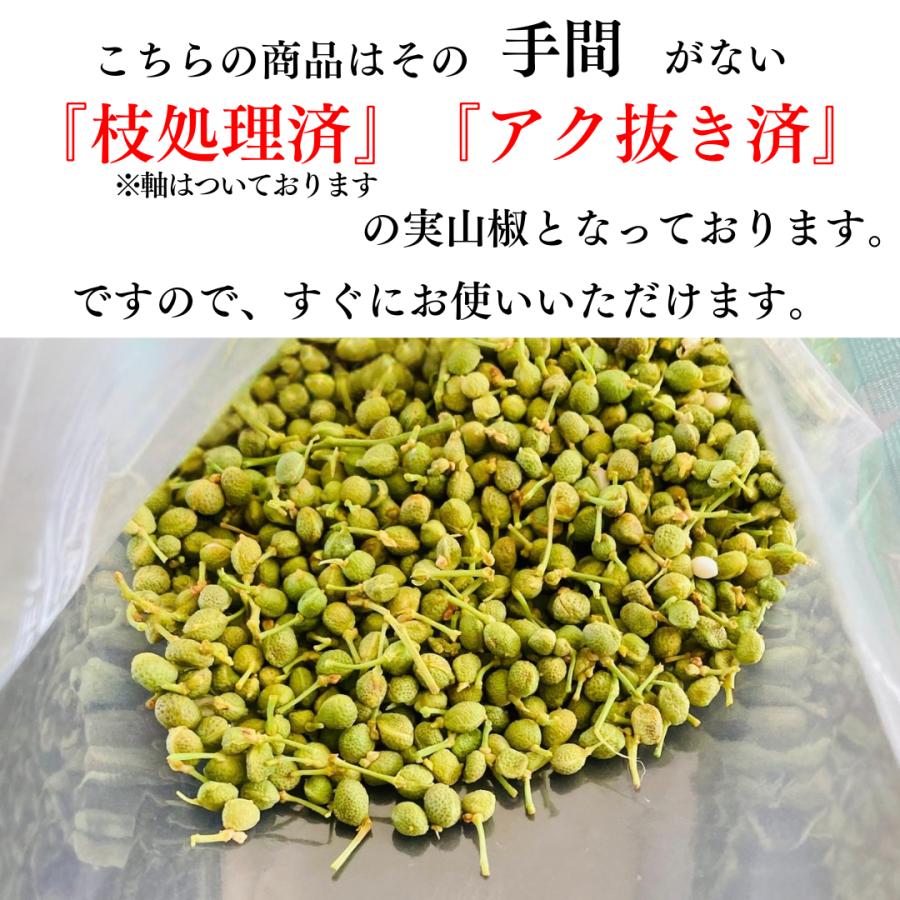 2026年新物】【枝処理済・アク抜き済】青実山椒 伊吹山系 実山椒 冷凍