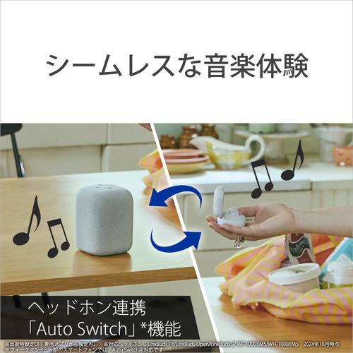 ソニー SRS-LS1 BC ワイヤレスポータブルスピーカー LinkBuds Speaker