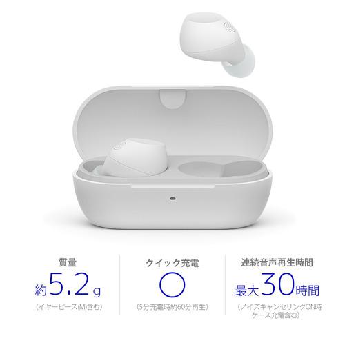 ソニー ワイヤレス イヤホン 左右分離 ノイズキャンセリング IPX4 最大