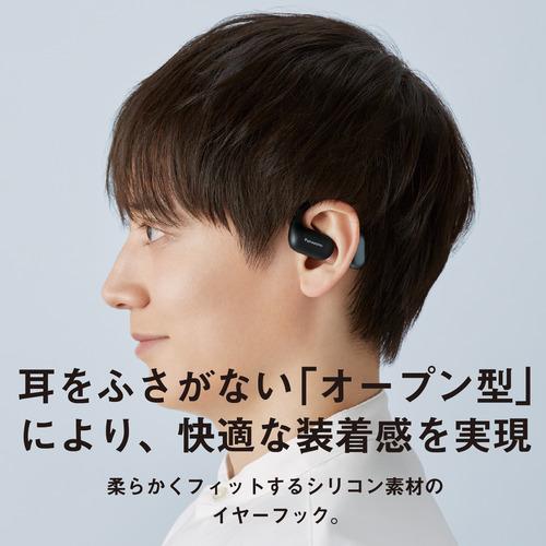パナソニック RB-F10D-K 完全ワイヤレスイヤホン 左右分離 ノイズ