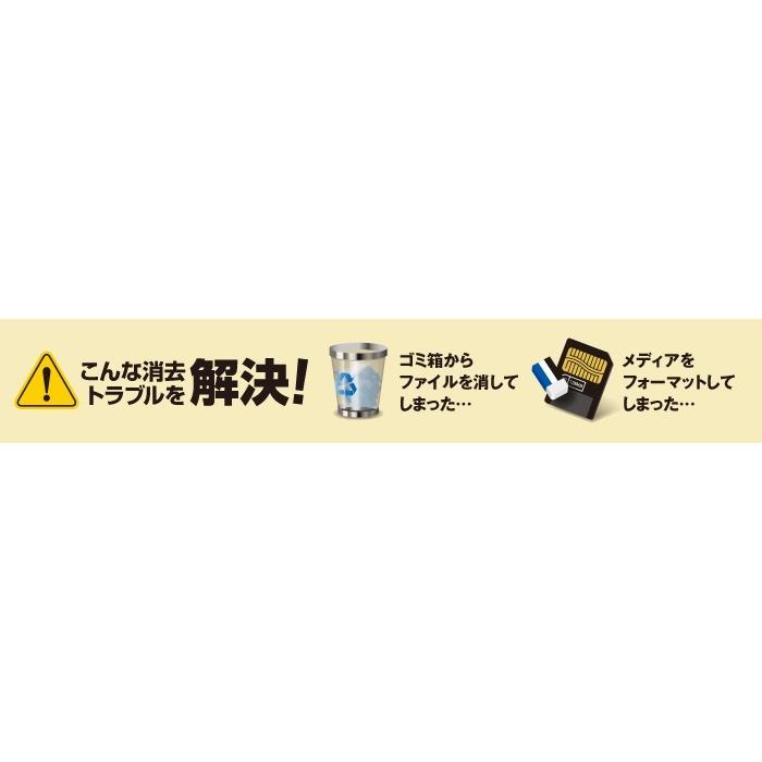 ジャングル 復活!デジカメデータ2 JP004461 |  | 01