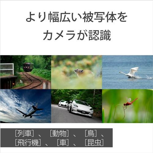 ソニー ZV-E1 B VLOGCAM デジタル一眼カメラα ボディ ブラックの画像