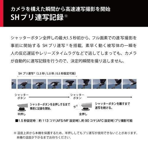 パナソニック DC-G9M2 LUMIX G9PROII ミラーレス一眼カメラ 標準ズームレンズキット_4