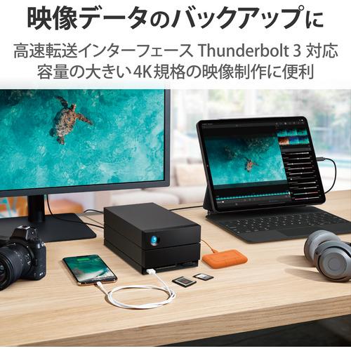 【値下げ・名盤】 エレコム STLG40000400 LaCie 外付けHDD 40TB 2big Dock 【TM3610610246】(131190円)