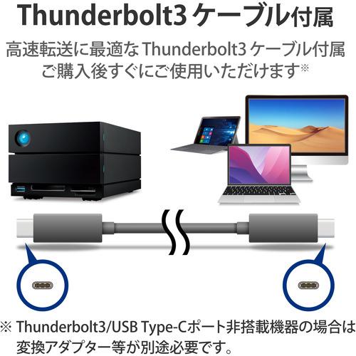 【値下げ・名盤】 エレコム STLG40000400 LaCie 外付けHDD 40TB 2big Dock 【TM3610610246】(131190円)