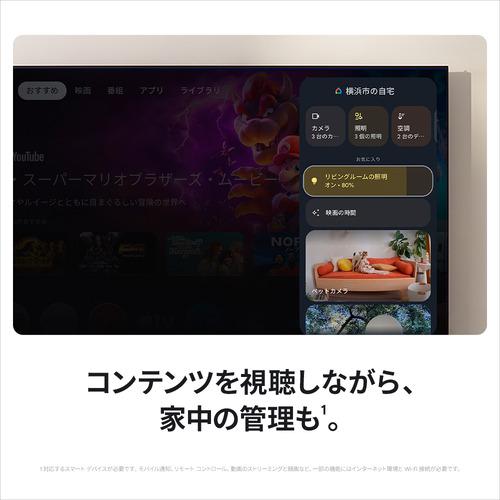 Google GA05662-JP TV Streamer (4K) ストリーミング デバイス