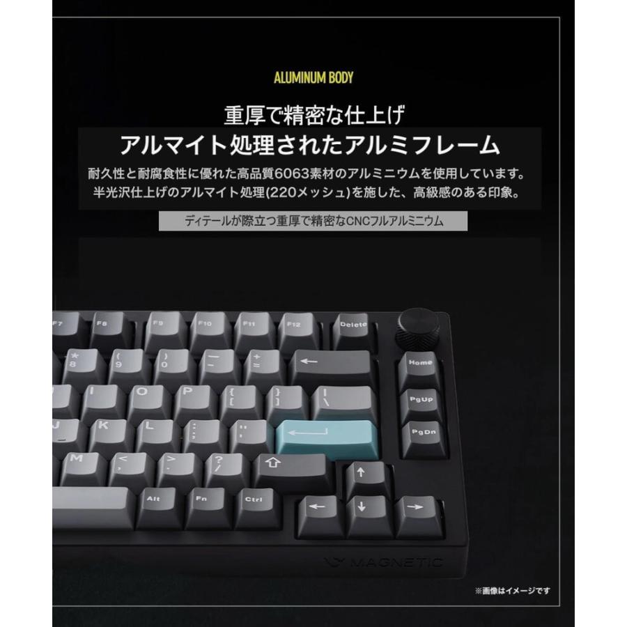 VM75HE-VPB 有線 英語配列テンキーレス(75%) マグネティックキーボード