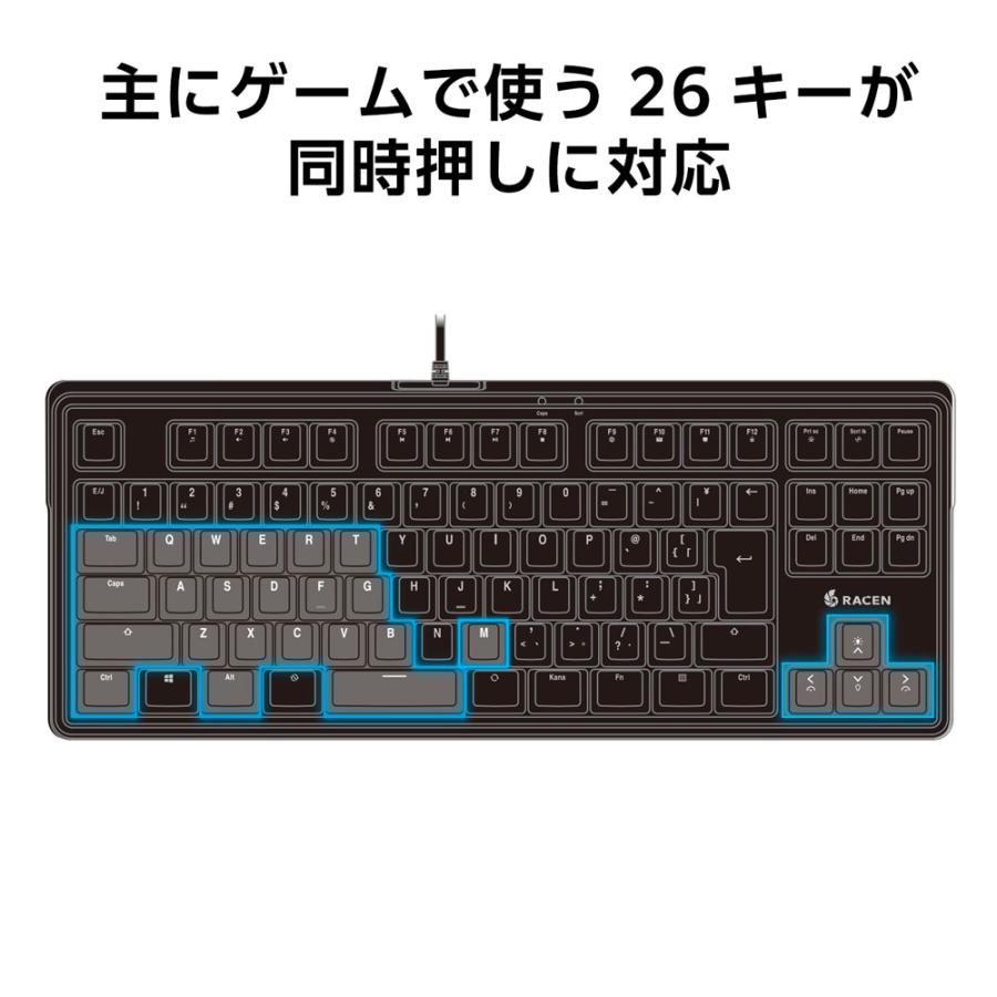 RACEN CRC-GMBKRGB02 有線 日本語配列テンキーレス メンブレン