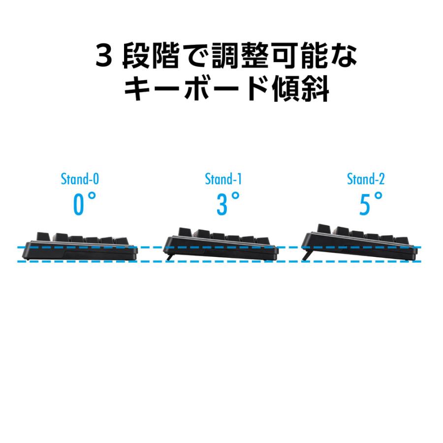 RACEN CRC-GMBKRGB02 有線 日本語配列テンキーレス メンブレン