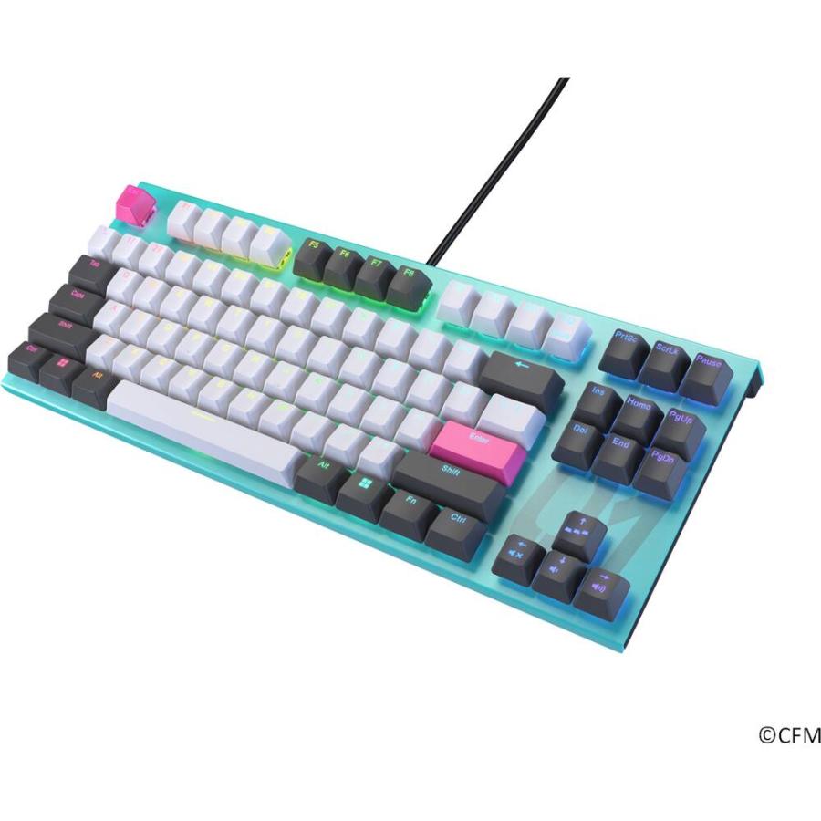 REALFORCE GX1 KEYBOARD・初音ミクコラボモデル [X1UDM1] 英語