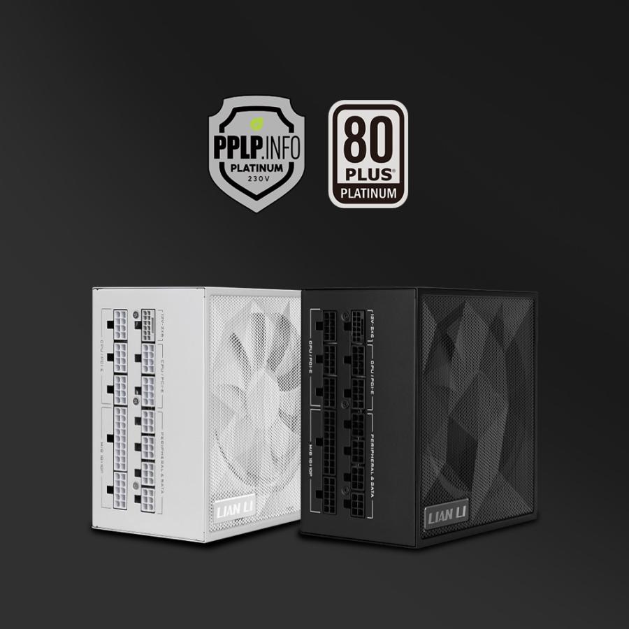 SX Platinum　SX1200PB_5