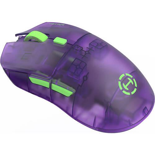 PSA10 メガニウム e トリプルゲット プロモ 5000枚限定 015/P