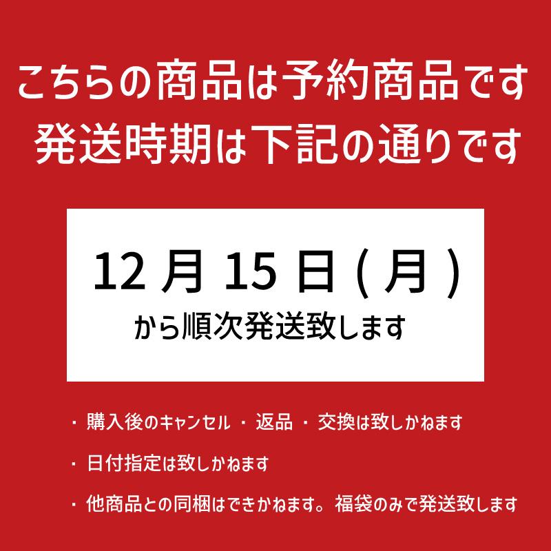 【スワロフスキー グロスパック付き】 たっぷりアクセサリーパーツHappy Bag！ 2026年福袋 10000パックの画像