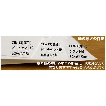 上質紙 クラフト紙 39.4x54.5cm 50枚セット 徳用50枚入 カルトナージュ｜tsukurutanosimi｜02