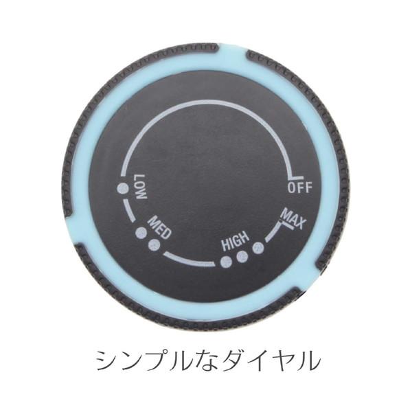 アイロン 霧吹きセット 小型 軽量 ドライアイロン コード付 The DRYザ