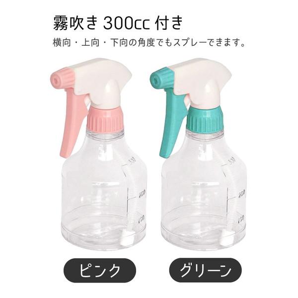 アイロン 霧吹きセット 小型 軽量 ドライアイロン コード付 The DRYザ