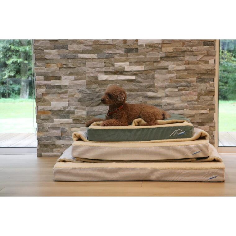 ③チベット 西藏 二眼普賢菩薩天珠 無数の馬蹄痕 龍鱗 種子字 高級天珠