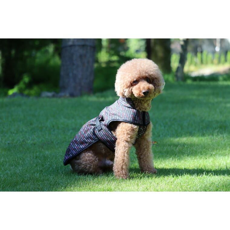 アミンアバスト 中・大型犬用規格（1,000mg）60カプセル Amazon.com