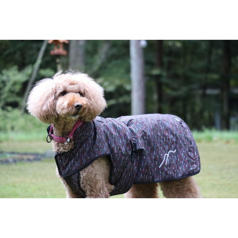 ポイント10倍 [Hakusan]まさに着るお布団ジャケット【ゼロジャケット