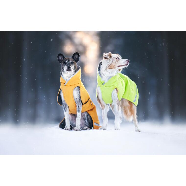 ポイント10倍 フィンランドのドッグブランド【Pomppa】史上最強レベル