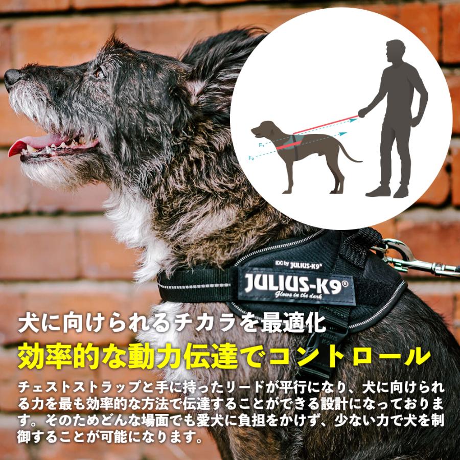 JULIUS-K9正規品取扱店】ポイント10倍 機能性抜群ハーネス【Julius-K9