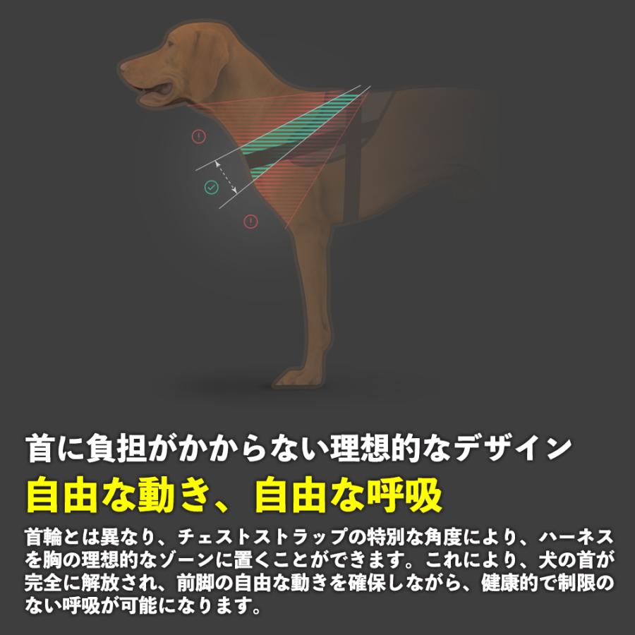 JULIUS-K9正規品取扱店】ポイント10倍 機能性抜群ハーネス【Julius-K9