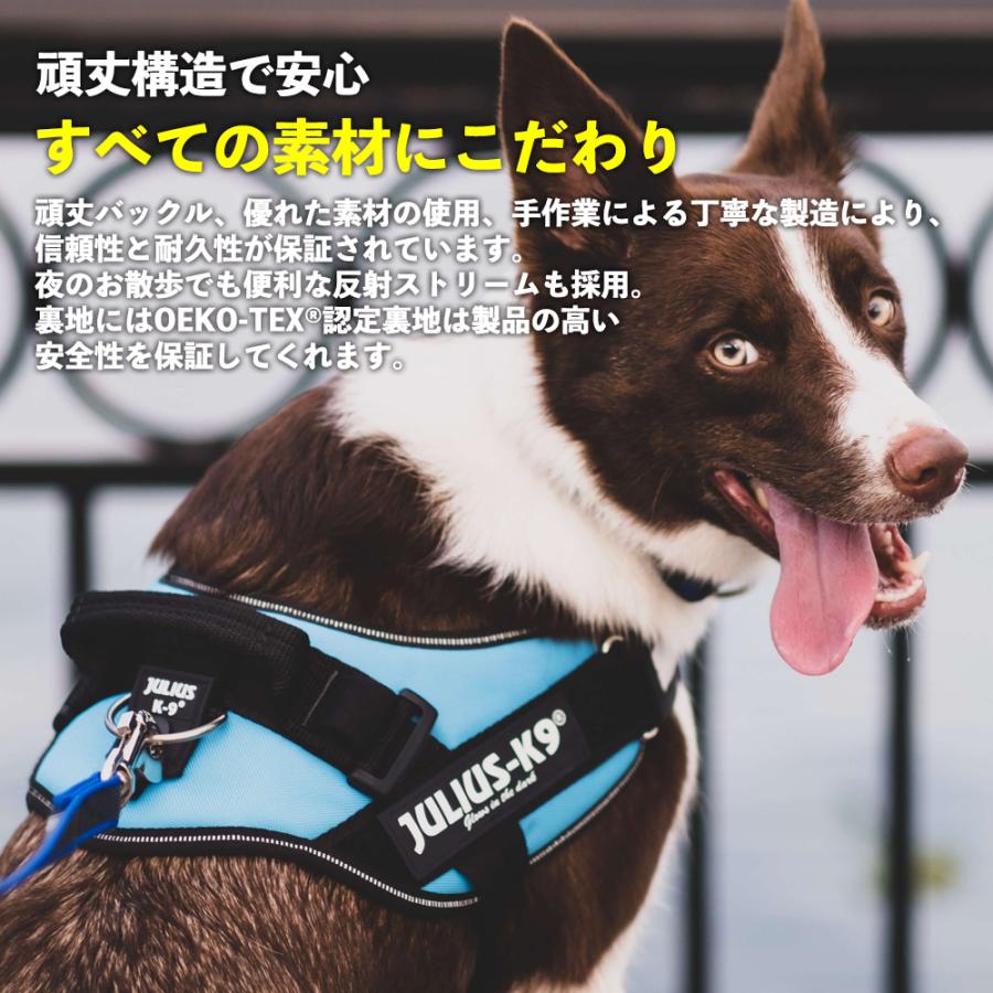JULIUS-K9 ブルーフラワー ハーネス・リードセット JULIUS-K9正規品取扱店】ポイント10倍 機能性抜群ハーネス【Julius-K9