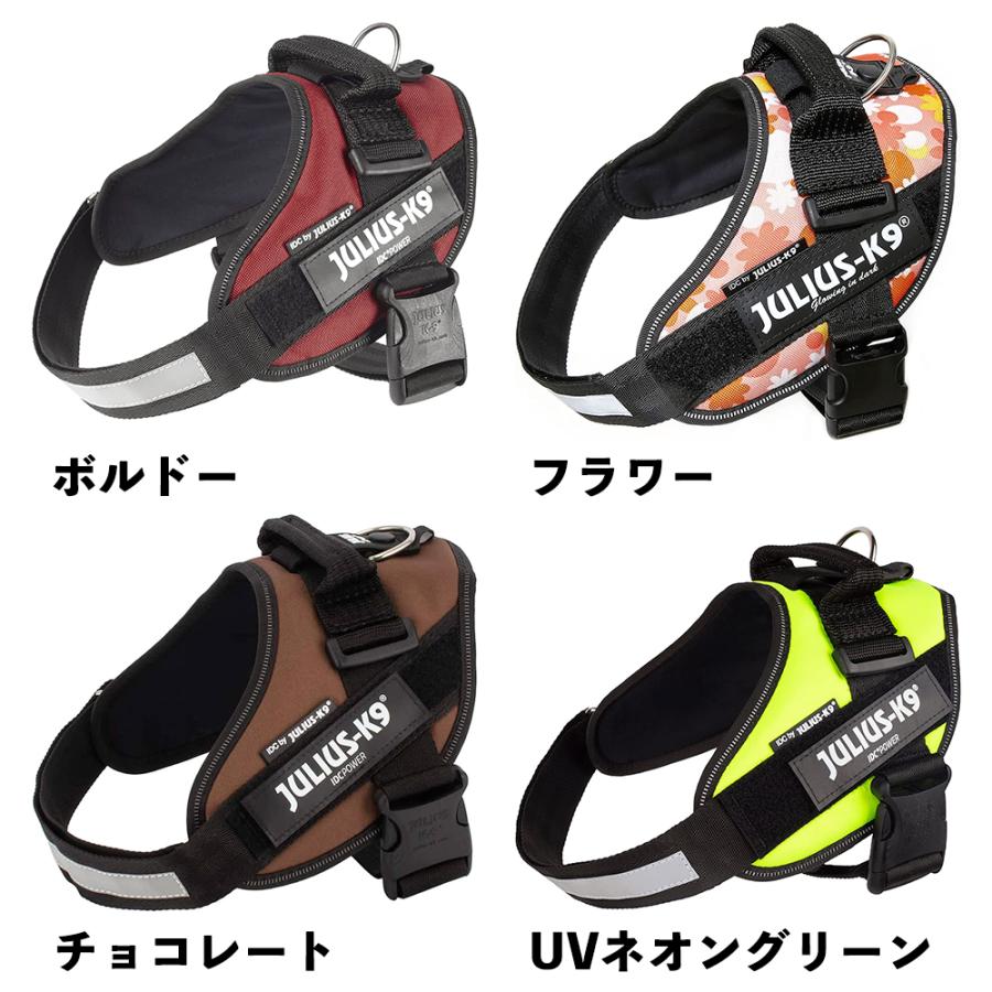 JULIUS-K9正規品取扱店】ポイント10倍 機能性抜群ハーネス【Julius-K9