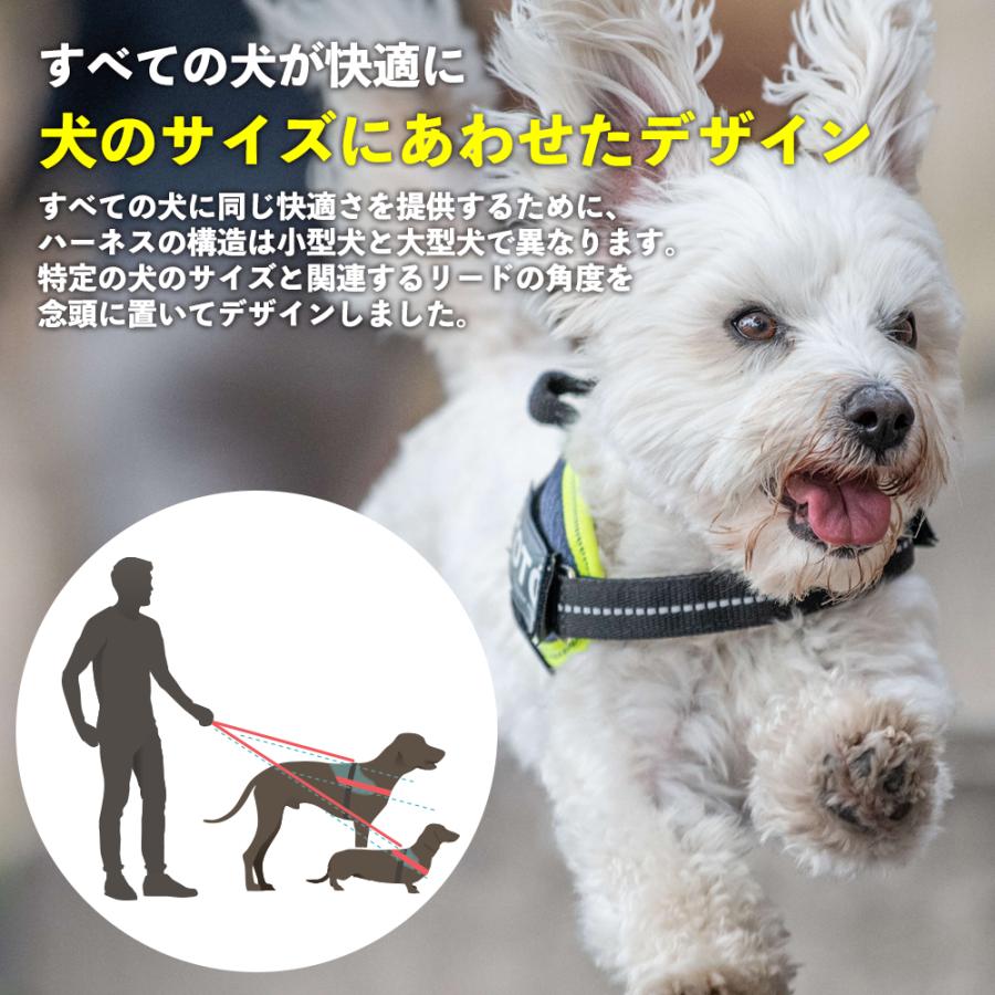 JULIUS-K9正規品取扱店】ポイント10倍 Julius-K9 ユリウスケーナイン