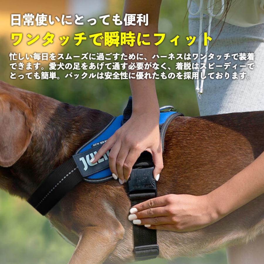 JULIUS-K9正規品取扱店】ポイント10倍 Julius-K9 ユリウスケーナイン