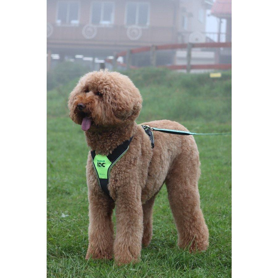 【JULIUS-K9正規品取扱店】ポイント10倍 Julius-K9 ユリウスケーナイン・ＩＤＣロングウォークハーネス Ｍ〜２ＸＬサイズ　中・大型犬用サイズ