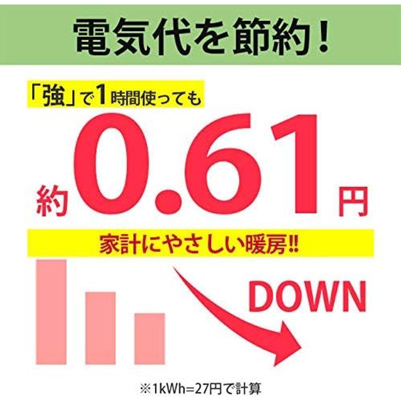 フリーダン 電気毛布 敷き スタンダード 省エネ 洗える ダニ退治 130×80cm グレー FCS401H｜tsumugu-dou｜07