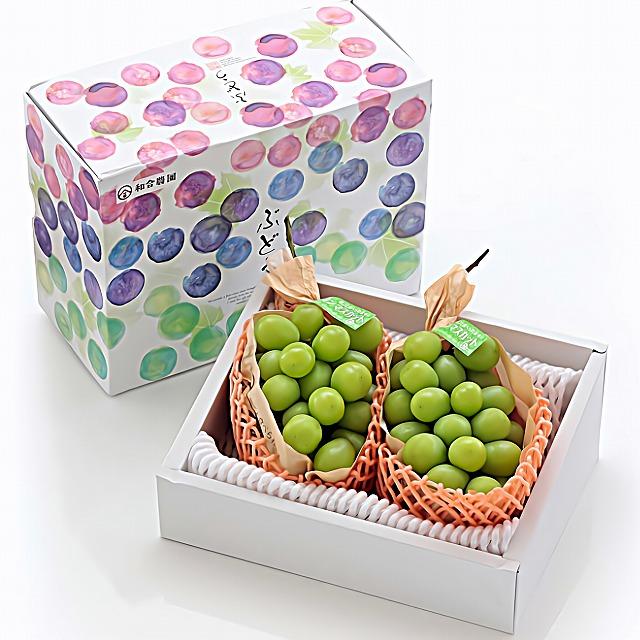 長野県産 特選クラス 大房シャインマスカット 【公式通販】