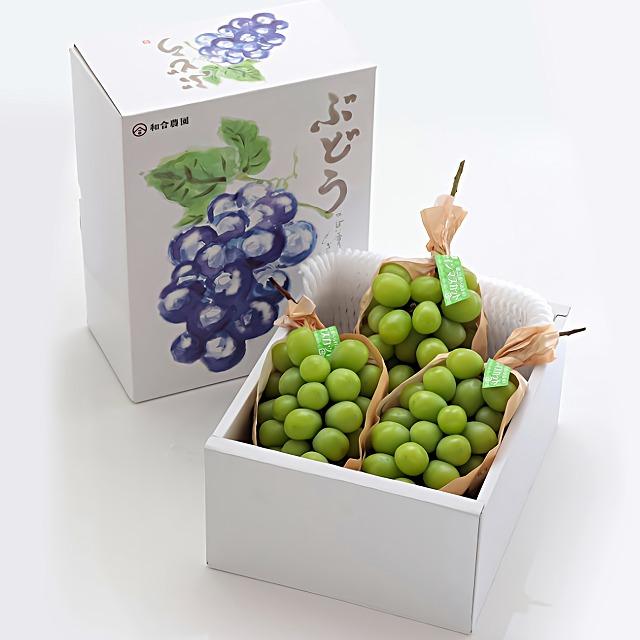 シャインマスカット 長野県産 約1.5kg 2〜3房 生産農家直送 ギフト 贈答用 化粧箱 露地栽培 :ya101003:つむぎマルシェ - 通販 - Yahoo!ショッピング シャインマスカット 長野県産 約1.5kg 2〜3房 生産農家直送 ギフト 贈答用 化粧箱 露地栽培 :ya101003:つむぎマルシェ - 通販 - Yahoo!ショッピング